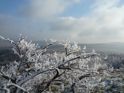 Bokor-takarodó